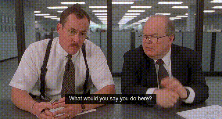 John C. McGinley's character in Office Space saying "what would you say you do here?"